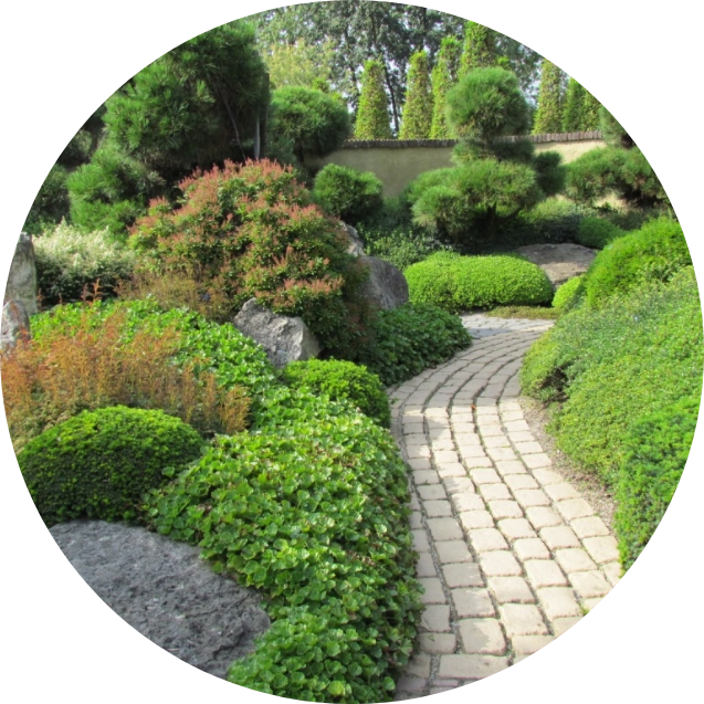 PACILLY PAYSAGE Paysagiste Coutances Realisation PACILLY PAYSAGE Paysagiste Coutances Realisation
